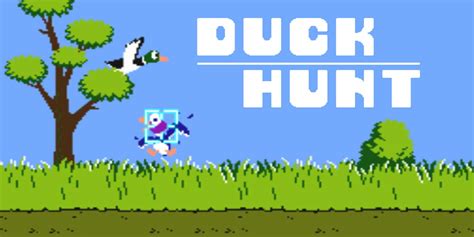 Full Screen Duck Hunt .
